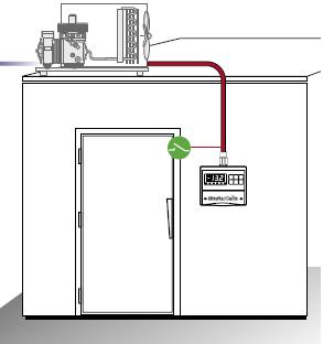 master-cella-przyklad